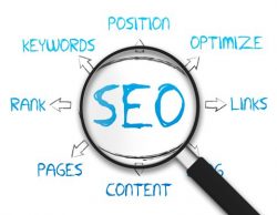 5 top tips to grow your traffic audience with SEO